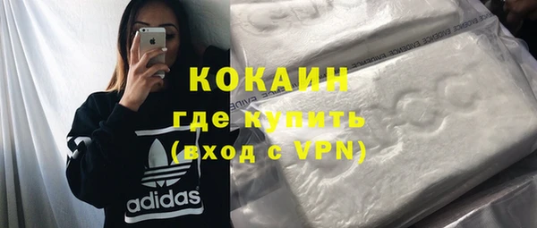 сатива Белокуриха