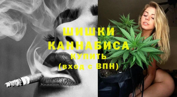 сатива Белокуриха