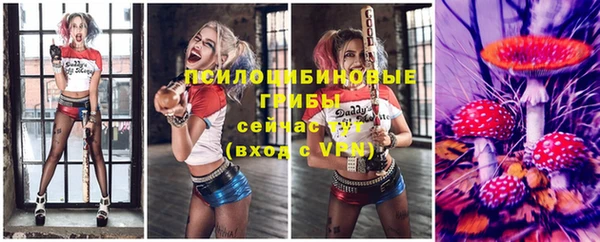 сатива Белокуриха