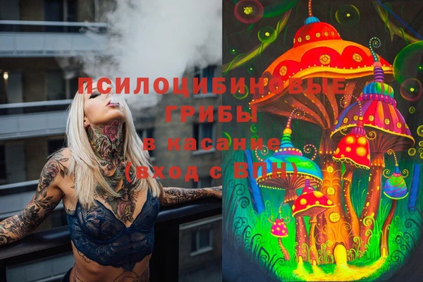 сатива Белокуриха