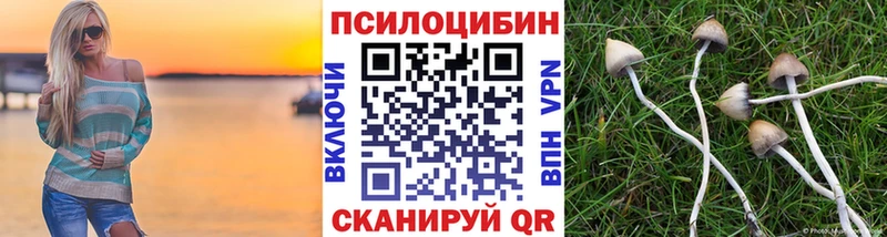 Псилоцибиновые грибы мицелий  Верхний Уфалей 